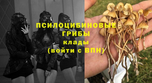 герыч Касимов