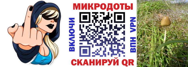 Галлюциногенные грибы Cubensis  Купить где  Бодайбо 